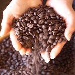 Caff�, caffeina e fitness
