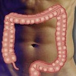 Quando l'intestino si ribella