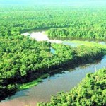 Amazzonia da vivere