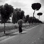 Cibi e paesaggi lungo la Via Emilia