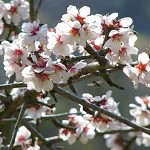 Primavera, tempo di disintossicazione