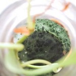 La Dieta a Zona, perdere peso e mantenere la massa magra